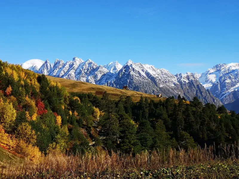 Autumn forest below a jagged snowy ridge